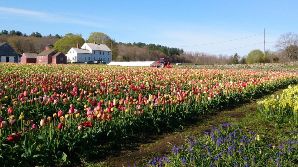 Cornaredo Италия